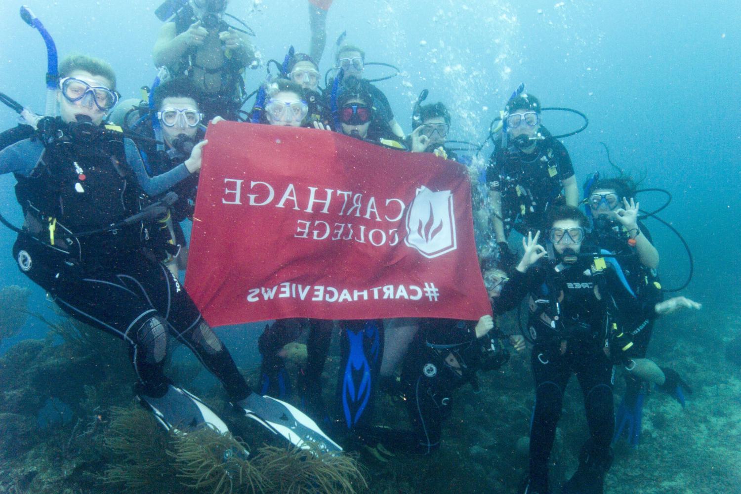 学生们手持<a href='http://y1vqeci.v-lanterna.com'>bv伟德ios下载</a>旗帜，在j学期洪都拉斯游学之旅中潜水.